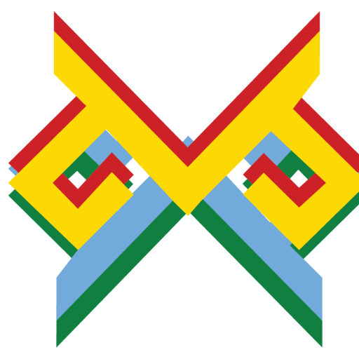 Machi Vision Solutions Logo Variation