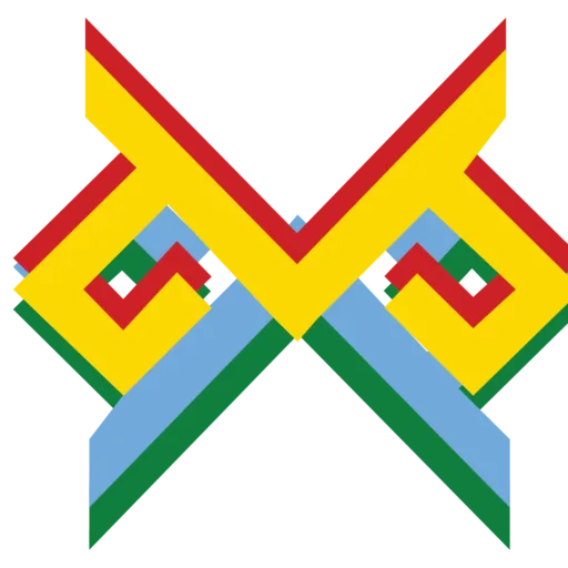 Machi Vision Solutions Logo Variation